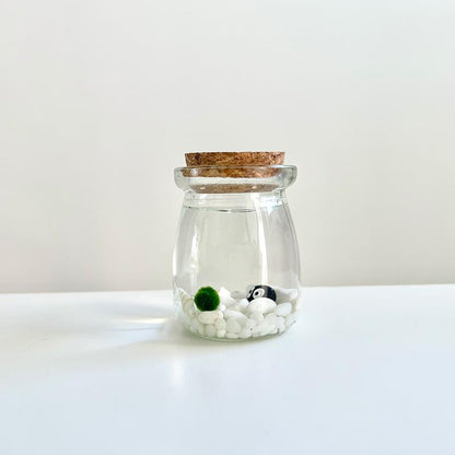Perfect Indoor Plants for Beginners Mini Aquarium Jar Live Moss Balls Mossplantpetaquariumdesk Cherryblossomtreedecor
